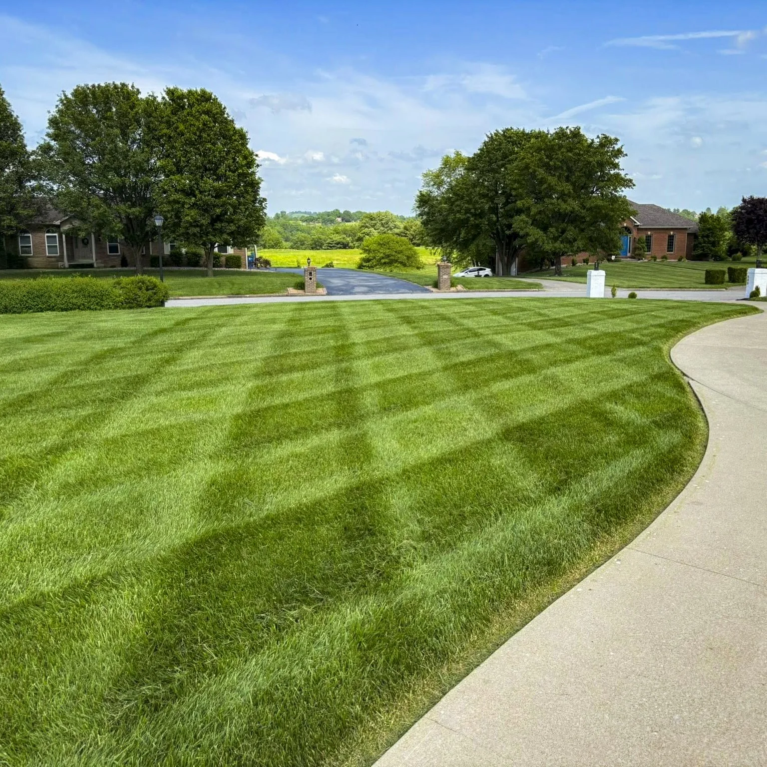 Close-up of freshly cut green grass with clean mowing stripes